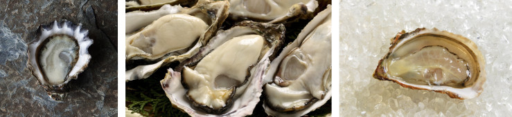 84a26d2ea62b97a3c30fc261fef03a533dbcf115_austres_lt.jpg